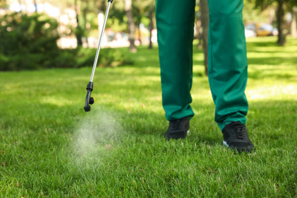 Best Exterminator Services  in Matheny, CA