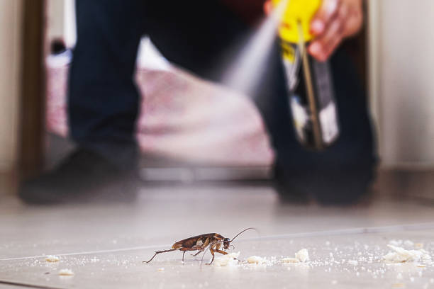 Insect Control in Matheny, CA