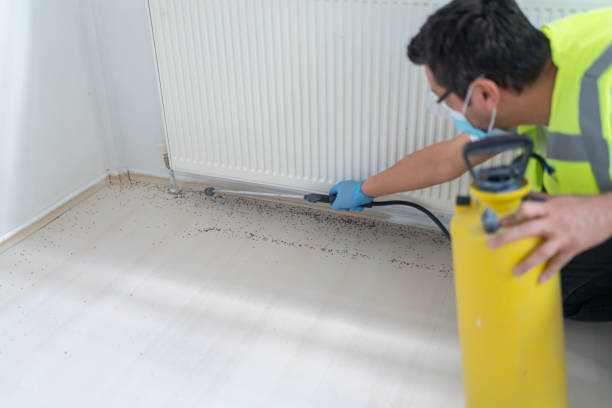 Best Pest Control Near Me in Matheny, CA