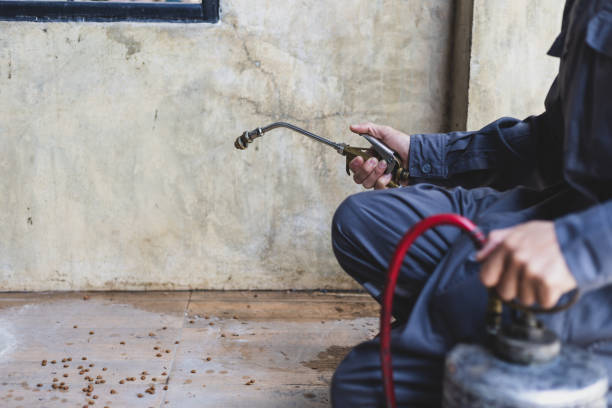Best Pest Control Near Me  in Matheny, CA